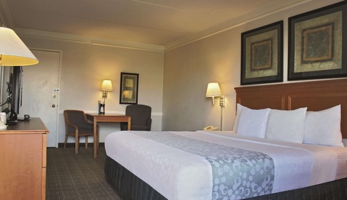 Room, 1 King Bed, Accessible, Non Smoking