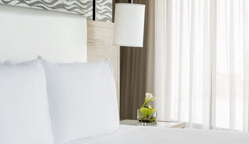 Room, 1 King Bed, Terrace