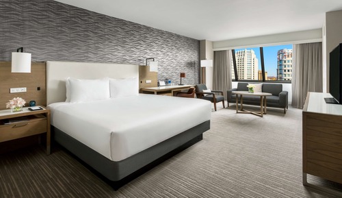 Standard Room, 1 King Bed, Accessible Tub