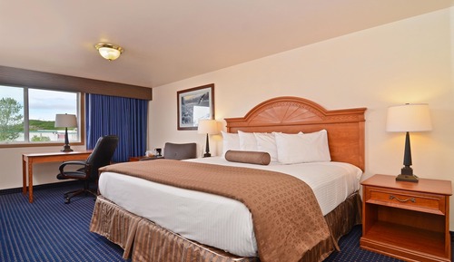 Business Room, 1 King Bed, Non Smoking, Refrigerator & Microwave