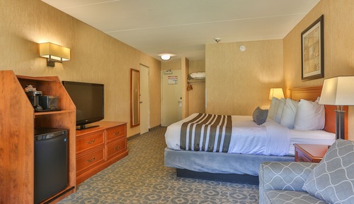 Standard Room, 1 King Bed, Non Smoking (with Sofabed)