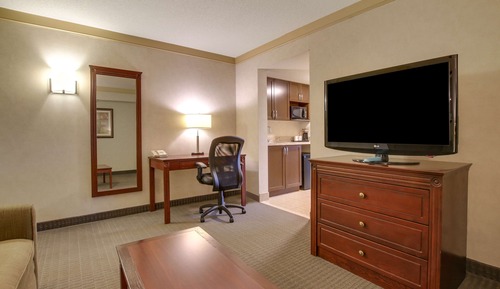 Suite, 1 King Bed, Non Smoking, Refrigerator & Microwave (with Sofabed)