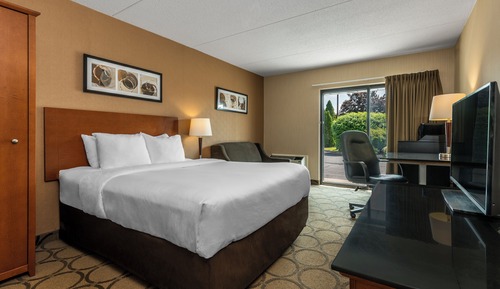 Room, 1 King Bed, Non Smoking (Efficiency)