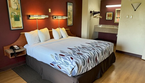 Suite, 1 King Bed with Sofa bed, Non Smoking (2 Rooms)