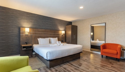 Standard Room, 1 King Bed, Non Smoking, Annex Building (2nd Floor;Pet Friendly)