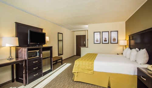 Room, 1 King Bed, Non Smoking, Poolside