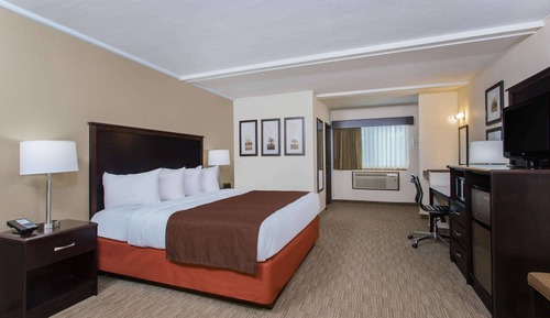 Room, 1 King Bed, Non Smoking