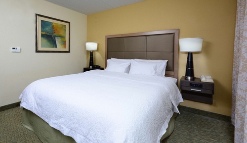 Room, 1 King Bed, Accessible, Non Smoking (Roll-In Shower)