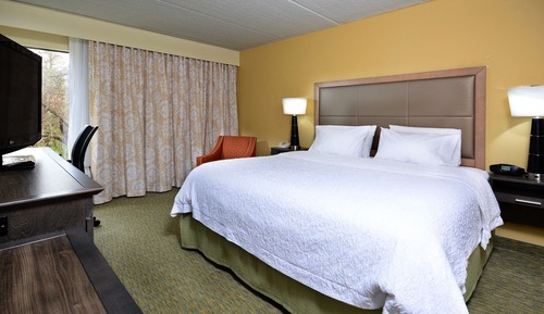 Room, 1 King Bed, Non Smoking (Hearing Accessible)