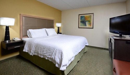 Suite, 1 King Bed with Sofa bed, Non Smoking