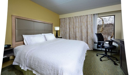 King Study 1 King Bed with Sofabed, Non Smoking (Hearing Accessible)