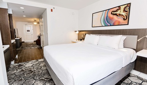 Junior Suite, 1 King Bed & Sofa Bed, Accessible, Roll in Shower