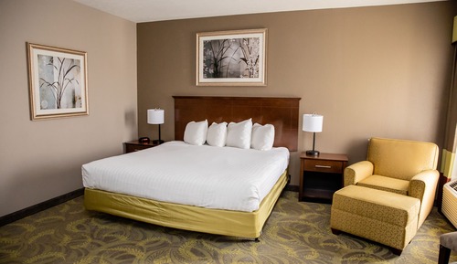 Standard Room, 1 King Bed