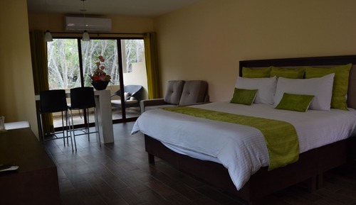 Honeymoon Suite, Mixed Dorm, Kitchenette