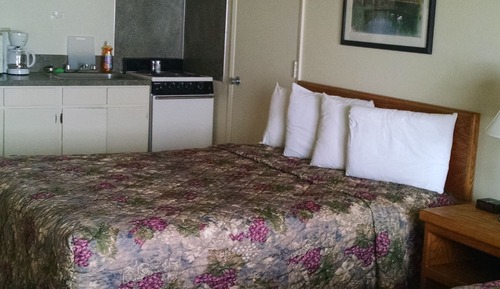 (A) Standard Room, 1 Queen Bed, Ground Floor (Pet Friendly)