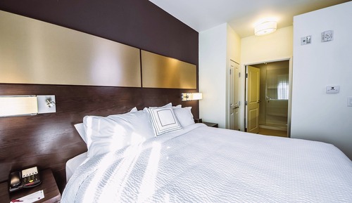 Studio, 1 King Bed with Sofa bed