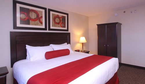Suite, 1 Bedroom