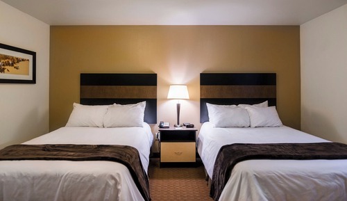 Room, 2 Twin Beds