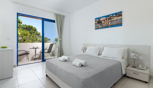 Deluxe Double or Twin Room