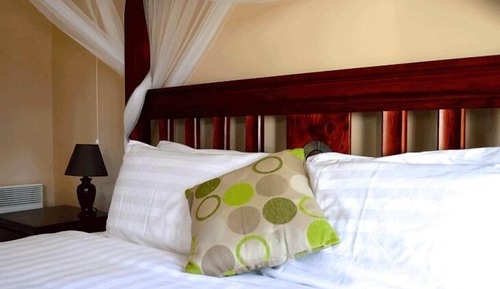 Room, 1 King Bed (Beer Garden)