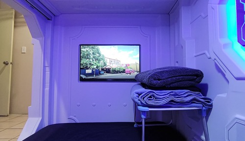 Single capsule bed with Private bathroom (bottom bunk)