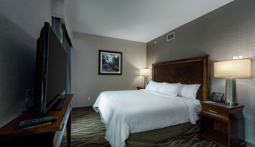 Suite, 1 King Bed, Accessible