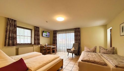 Comfort Double Room, 1 King Bed with Sofa bed, Non Smoking
