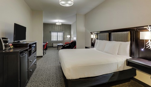 Executive Room, 1 King Bed with Sofa bed