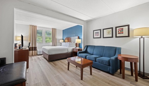 Suite, 1 King Bed, Accessible, Non Smoking
