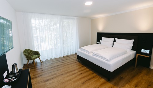 Comfort Double Room, 1 King Bed