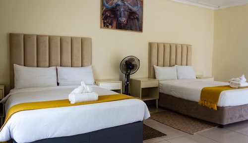 Family Twin Room