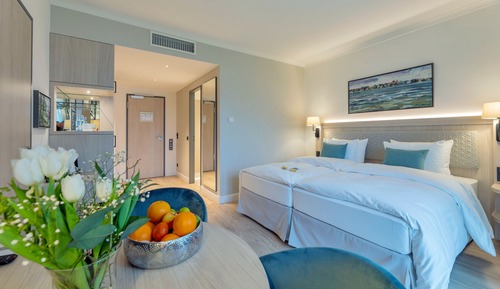 Classic Room, 1 King Bed, Non Smoking