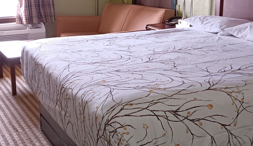 One King Bed Suite