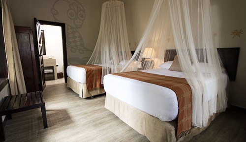 Standard Room, 2 Double Beds