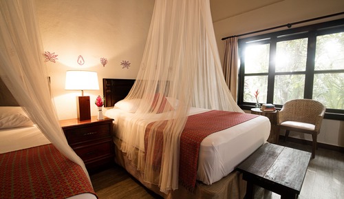Premium Room, 2 Double Beds