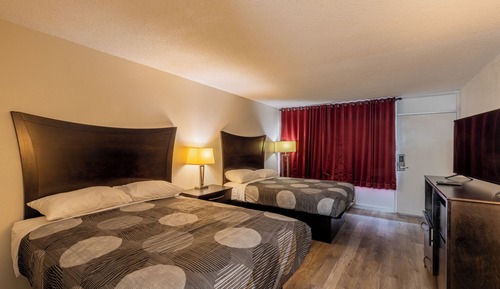 Comfort Single Room, 2 Queen Beds, Non Smoking
