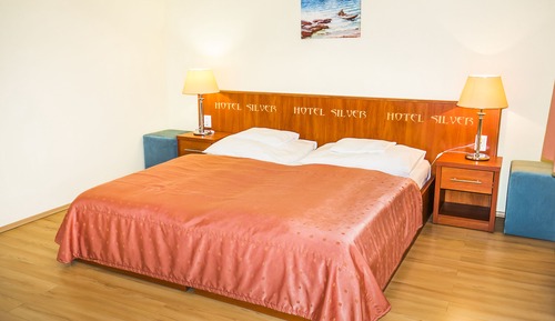 Comfort Apartment, 2 Bedrooms (Bio)