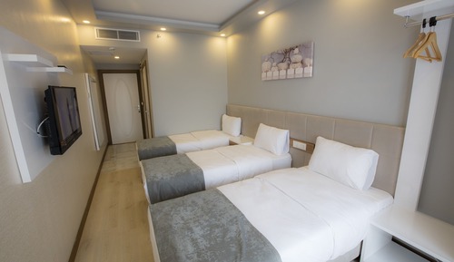 Deluxe Triple Room, Non Smoking, City View