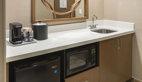 Studio, 1 King Bed, Non Smoking, Refrigerator & Microwave
