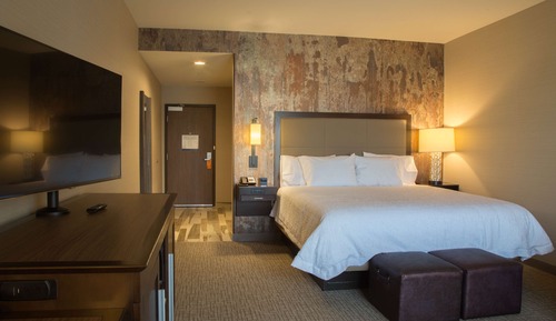 Room, 1 King Bed, Non Smoking, Refrigerator