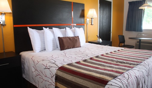 Room, 1 King Bed