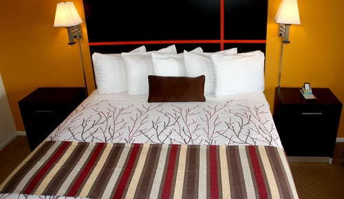 Room, 1 Queen Bed