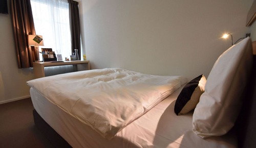 Single Room, 1 Queen Bed