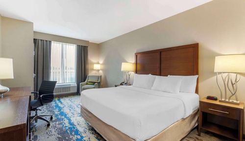 Standard Room, 1 King Bed, Non Smoking