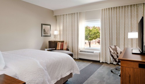 Room, 1 King Bed, Accessible, Non Smoking