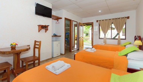 Twin Room, Garden View