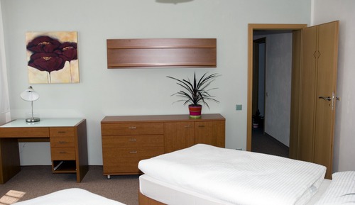Comfort Apartment, 1 Bedroom