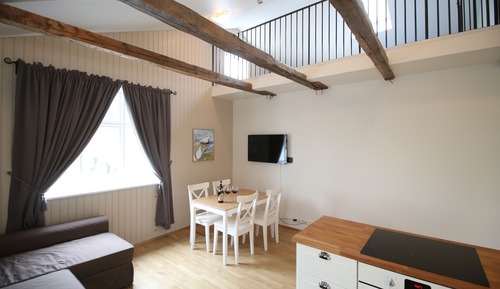 Deluxe Apartment (Loft Bed)