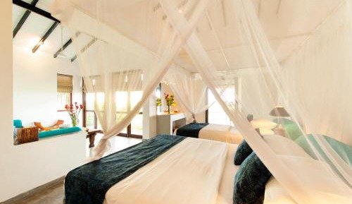 Cinnamon Suite