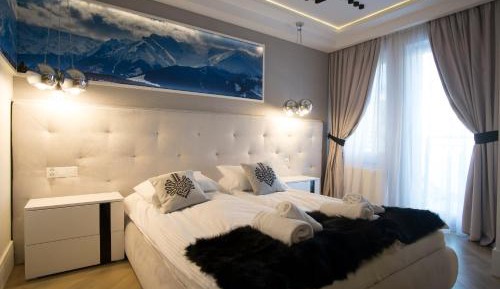 Luxury Suite